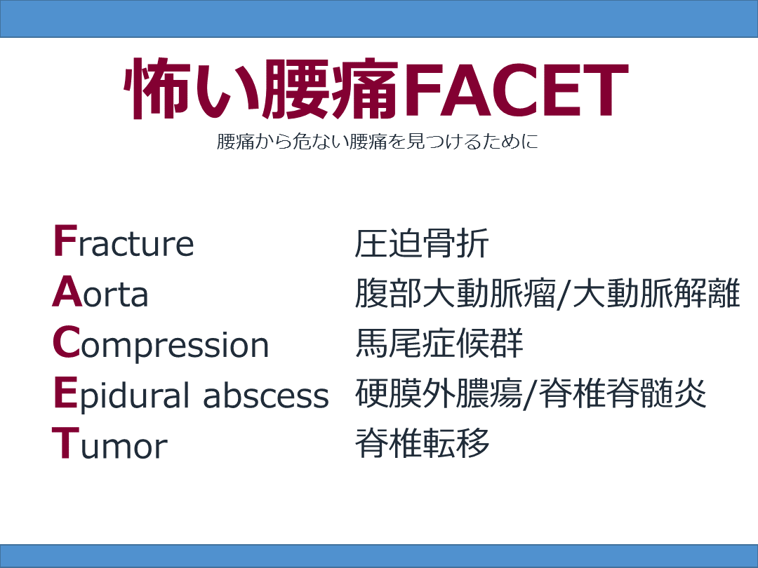腰痛のRedflagsの考え方 L001.png