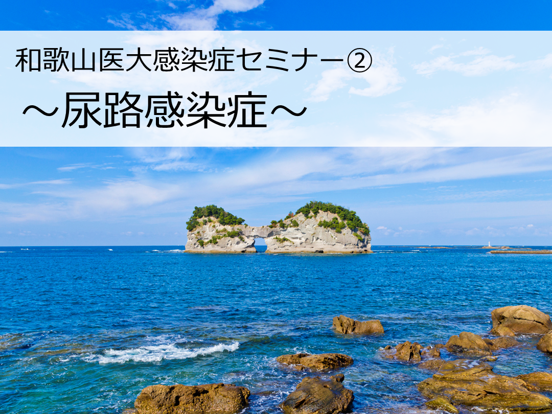 尿路感染症 L001.png