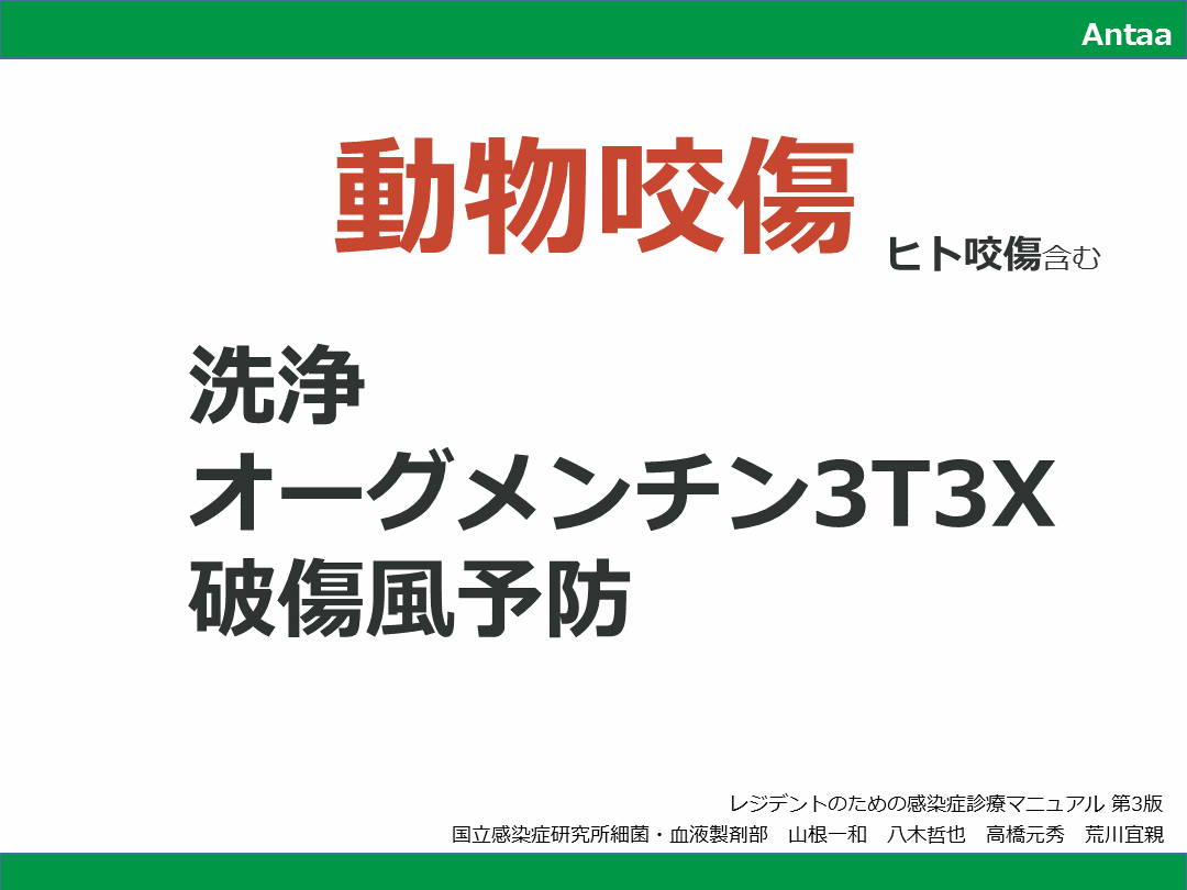動物咬傷の対処法_洗浄デブリ、抗菌薬、破傷風予防 L001.png