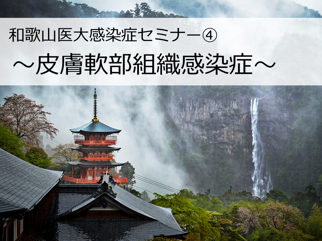皮膚軟部組織感染症 L001.png