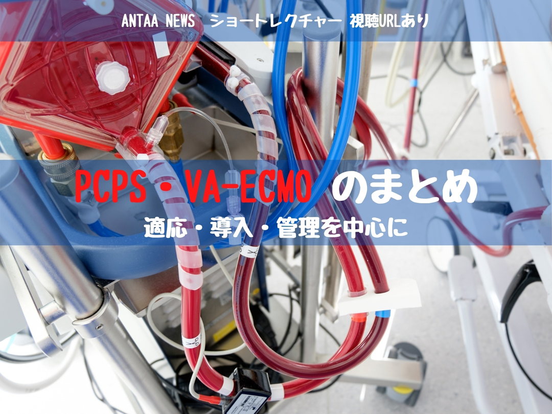 画像サイズテスト（1）（1.5倍） L001.png