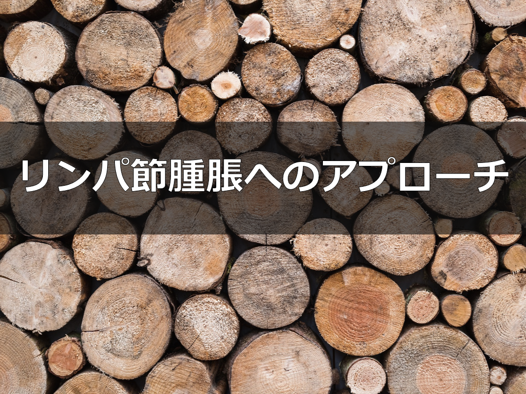 リンパ節腫脹へのアプローチ L001.png